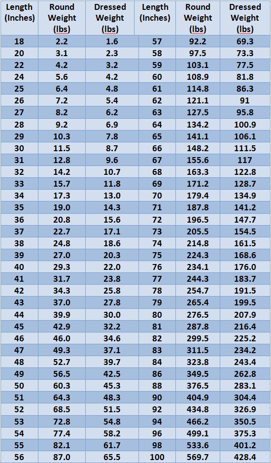 Northern Pike Weight Chart